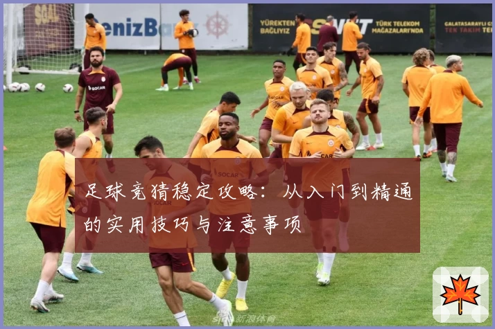 足球竞猜稳定攻略：从入门到精通的实用技巧与注意事项