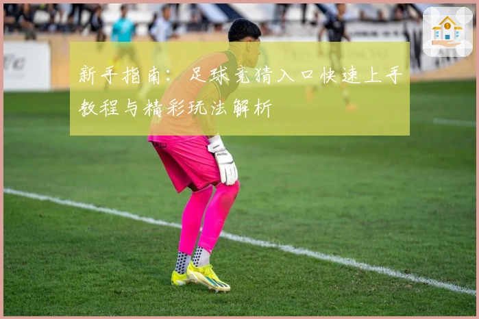 新手指南：足球竞猜入口快速上手教程与精彩玩法解析